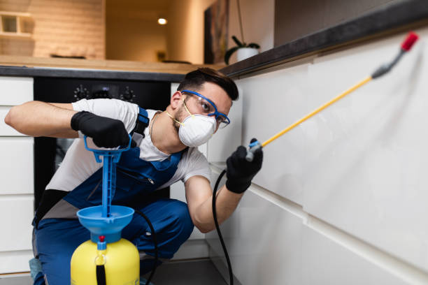 Professional Pest Control in Greenup, KY