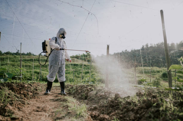 Best Best Pest Control Companies  in Greenup, KY