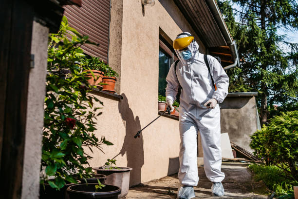 Best Flea Control Services  in Greenup, KY