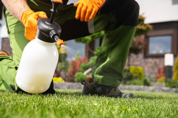 Best Ant Control Services  in Greenup, KY
