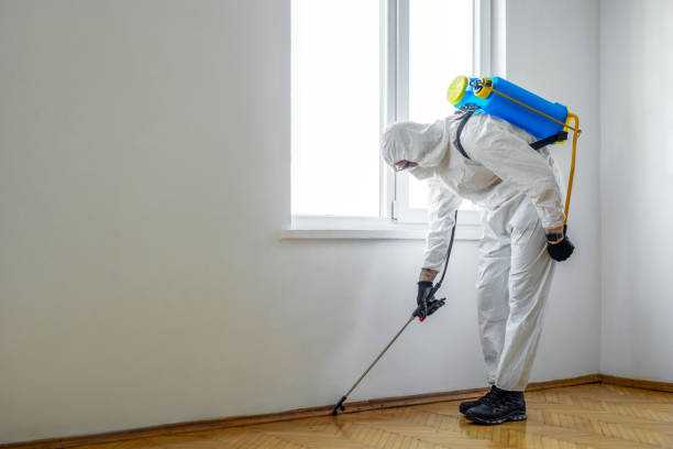 Best Pest Removal Services  in Greenup, KY