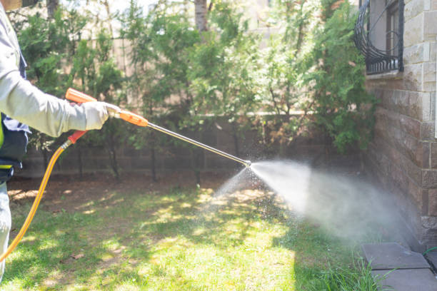 Best Best Pest Control Companies  in Greenup, KY