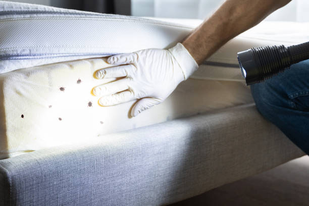 Best Residential Pest Control  in Greenup, KY