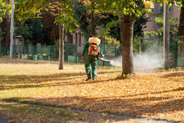 Best Pest Inspection Near Me  in Greenup, KY